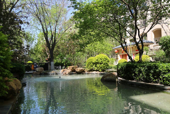 122cc太阳集成游戏集团